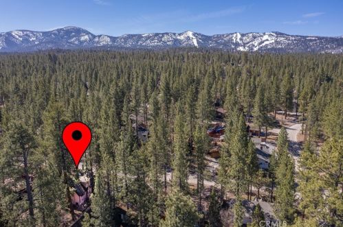 919 Mountain Ln, Big Bear City CA  92314 exterior