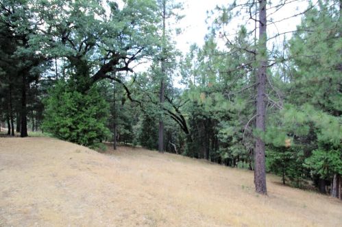 5261 Shooting Star Rd, Pacific House CA  95726-9001 exterior