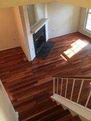 14513 Castleford Ct, Centreville VA  20121-2528 exterior