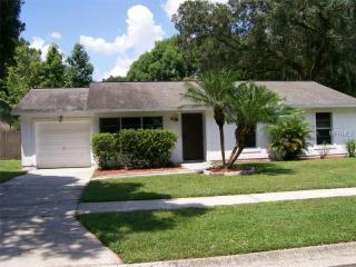 2009 Ronald Cir, Seffner FL  33584-5432 exterior