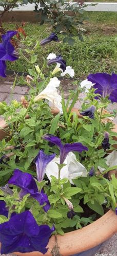 566 Lattintown Rd, Marlborough NY  12542-5143 exterior