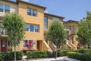 927 Highland Ter, Sunnyvale, CA 94085-3932