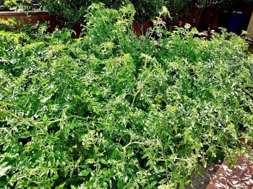 2610 Kansas Ave, South Gate CA 90280-4021 exterior