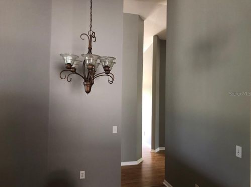 19605 Morden Blush Dr, Lutz FL  33558-9087 exterior