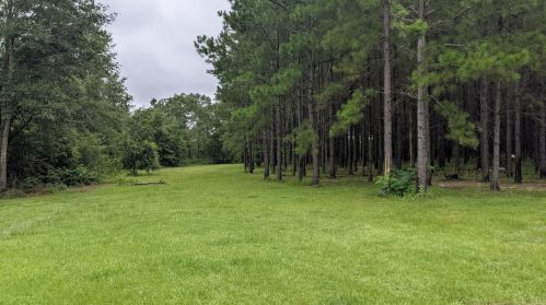 2056 Old Bonifay Rd, Sunny Hills FL  32428-6118 exterior
