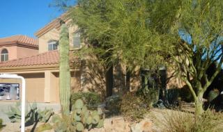 10426 Helm Dr, Scottsdale, AZ 85255-8578