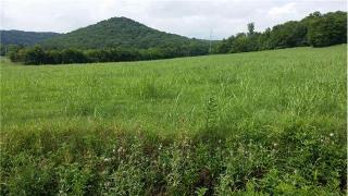2208 Osburn Rd, Triune, TN 37014-9754