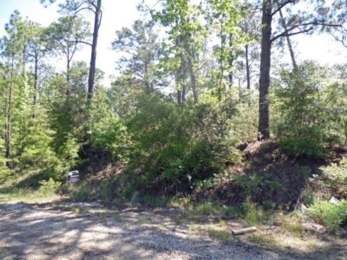 250 Pinehurst Dr, Browndell, TX 75931-7427