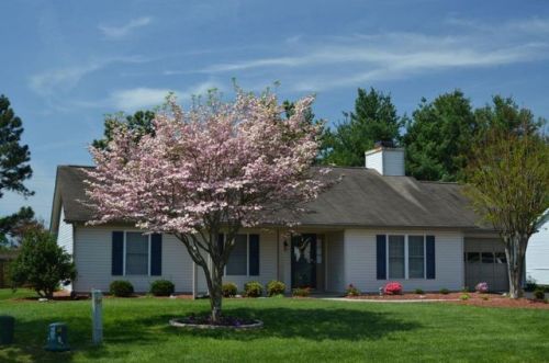2231 Bloomfield Ave, Roanoke VA  24012-6779 exterior