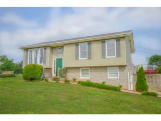 104 Cal Dr, Limestone, TN 37681-2836