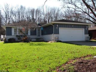 3678 Bramblewood Dr, Brunswick, OH 44212-2708