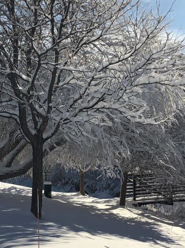 22391 Plymouth Cir, Denver CO  80016-2786 exterior