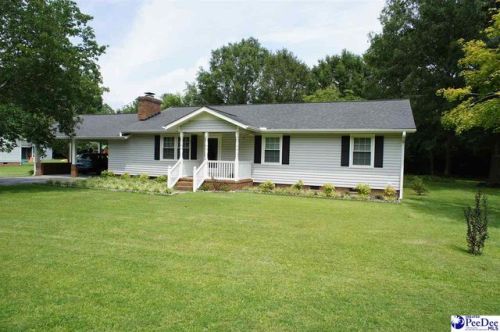 156 Chatham Trace Cir, Cheraw, SC 29520-4039