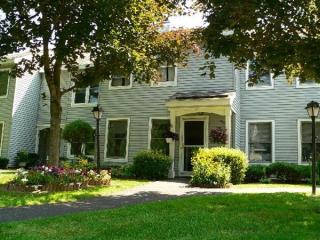 16 Raleigh Dr, Clifton Park Center NY  12065-8108 exterior