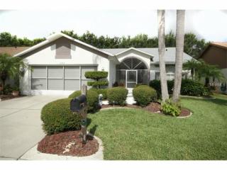 13103 Heata Pl, Riverview, FL 33579-7124
