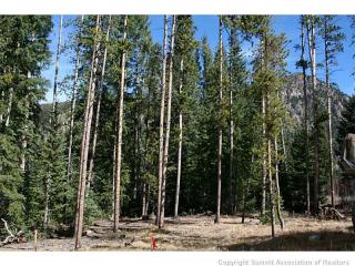 87 Independence Rd, Montezuma, CO 80435-7706