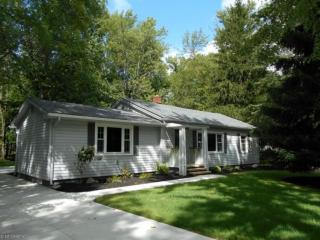 38729 Wood Rd, Willoughby, OH 44094-7610