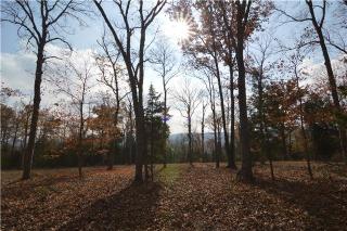 5964 Shr Rd, Murfreesboro TN  37128-3635 exterior