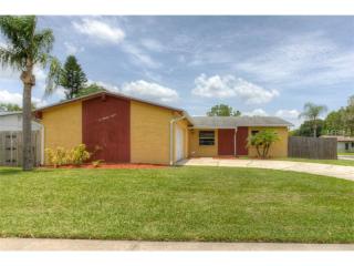 607 Tangerine Dr, Oldsmar, FL 34677-2745