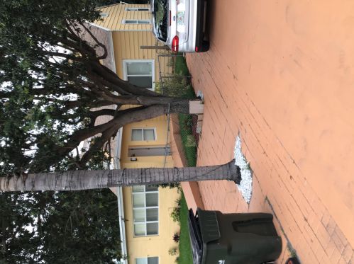 619 10th St, Delray Beach FL  33444-2217 exterior