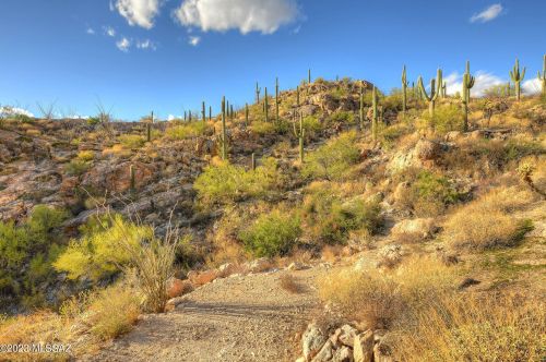 3908 Camino Ojo De Agua, Tucson, AZ 85749-7819