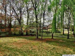 120 Thoroughbred Trl, Madison AL  35758-6238 exterior