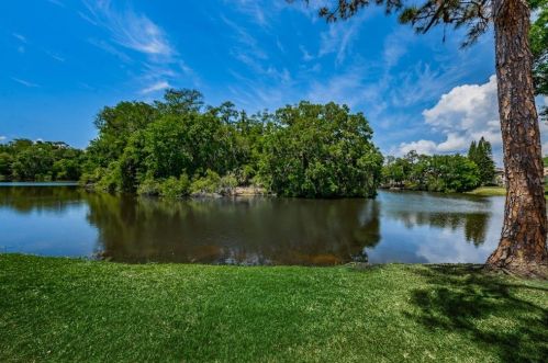 1340 Preservation Way, Oldsmar FL  34677-4824 exterior