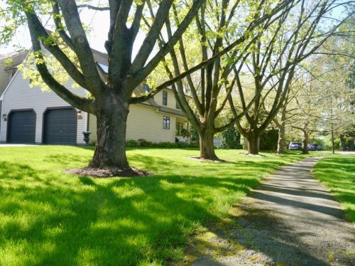 1 Berry Ln, Sunderland, MA 01375-7515