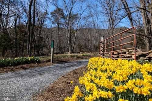 1131 Page Valley Rd, Richmond National Battlefiel, VA 22835-7606
