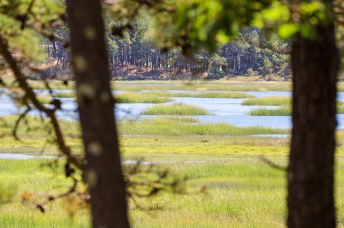 325 Pilgrim Spg Rd, Wellfleet MA 02667-6903 exterior