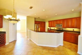 4443 Bardsdale Dr, Palm Harbor FL  34685-2601 exterior