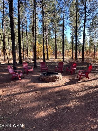 123 Sky Hi Dr, Pinetop AZ  85935-8802 exterior