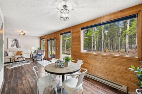 31985 Griffin Dr, Conifer CO  80433-9515 exterior