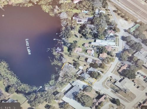 115 1st Ave, Lutz, FL 33548-4208
