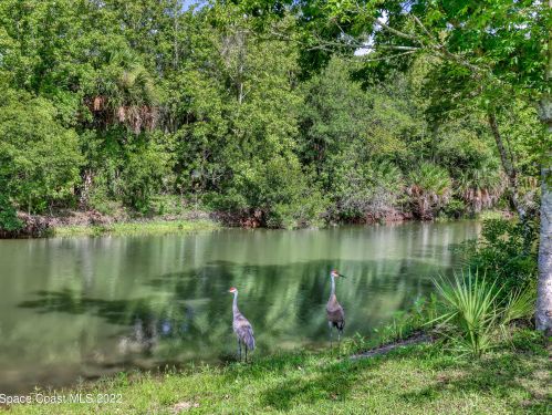 4969 Hamlin Cir, Mims FL  32754-5777 exterior