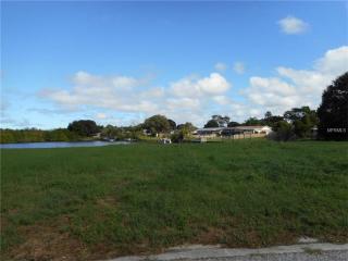 3137 Jackson Dr, Tarpon Springs, FL 34691-3381