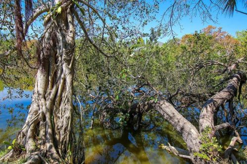 1275 Par Vw Dr, Sanibel FL  33957-6401 exterior