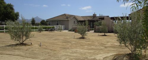 505 Caballo Ct, Hollister CA  95023-9055 exterior
