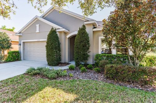 11156 Belle Haven Dr, New Port Richey, FL 34654-4491