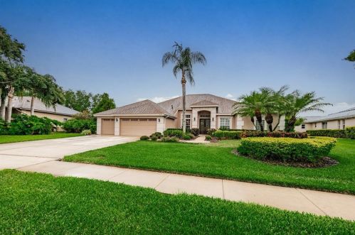 3970 Arlington Dr, Palm Harbor, FL 34685-1068