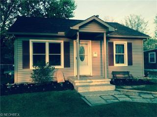 313 Pleasant St, Elyria OH  44074-1129 exterior