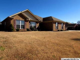 103 Cherry Gln, Huntsville, AL 35811-7953