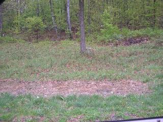 11 Carol Ln, Poughquag, NY 12570-5655