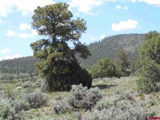 28 Evergreen Ln, Antonito, CO 81120-9025