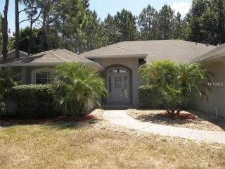 17600 Windy Pine St, Montverde, FL 34756-3113