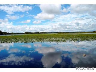 1219 Estate Pt, Inverness, FL 34450-5108