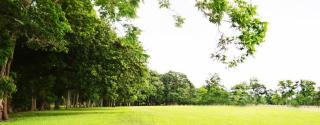 1267 Duchamp Rd, Broussard, LA 70518-7602