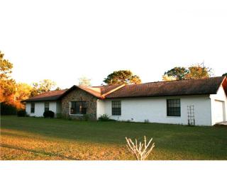 12516 Phyllis Ln, Port Richey, FL 34669-1258