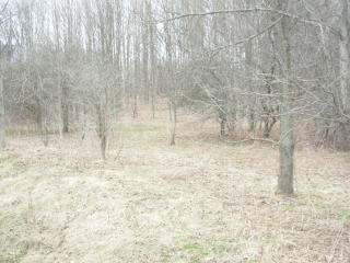 469 Owen Hill Rd, Centerlisle, NY 13797-1128