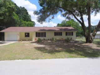 12204 Orchid Ln, Thonotosassa, FL 33592-2747